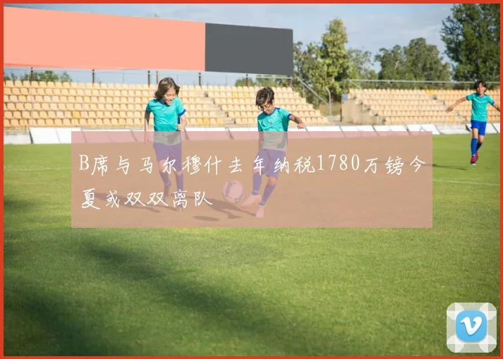 B席与马尔穆什去年纳税1780万镑今夏或双双离队